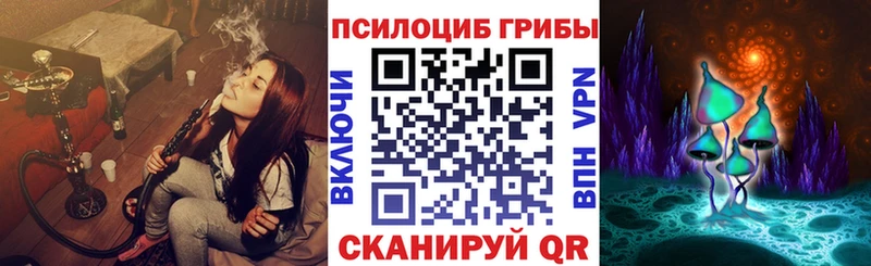 МЕГА маркетплейс  Болгар  Галлюциногенные грибы Psilocybine cubensis 