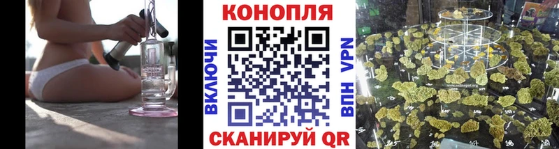 Каннабис OG Kush  где купить   Болгар 