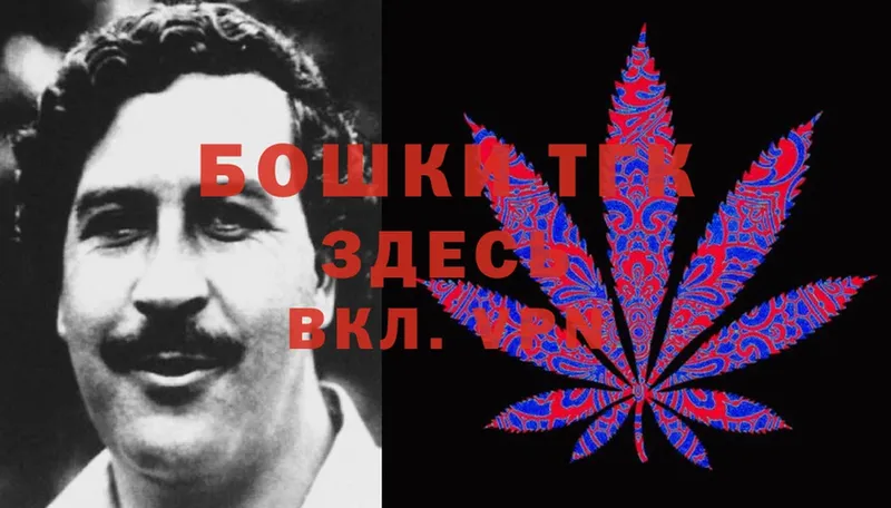 MEGA   купить  цена  Болгар  Каннабис Ganja 